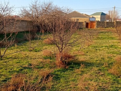 Elan №5940613 - Sumqayıt, Sumqayıt, 12 sot