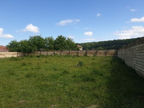 Объявление №5940854 - Хачмаз, Хачмаз, 400 сот