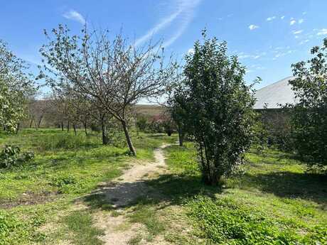 Elan №5941057 - Bakı, Nəsimi m., 3.8 sot