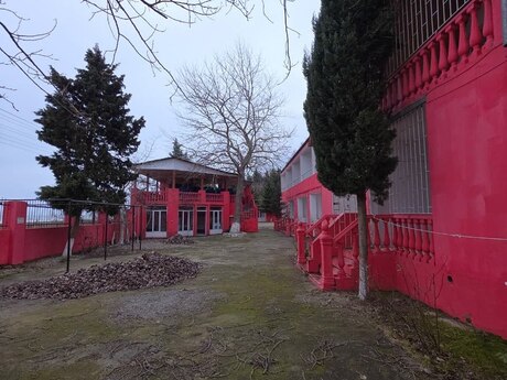 Объявление №5942020 - Хачмаз, Хачмаз, 2000 м²