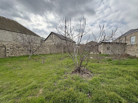 Elan №5942925 - Bakı, Ramana q., 10 sot