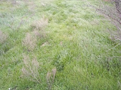 Elan №5943680 - Bakı, Badamdar q., 2.4 sot