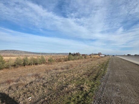 Объявление №5945176 - Баку, пос. Пута, 100 сот