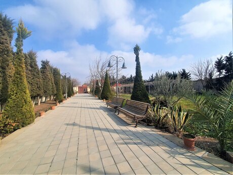 5 otaqlı həyət evi/bağ evi - Pirşağı q. - 600 m²