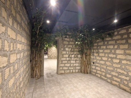Obyekt - Sahil m. - 412 m²
