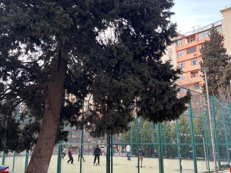 2 otaqlı köhnə tikili - 8-ci kilometr q. - 65 m²