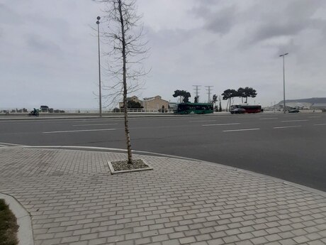 Obyekt - Bayıl q. - 110 m²