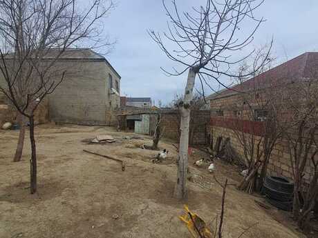 5 otaqlı həyət evi/bağ evi - Binəqədi q. - 230 m²