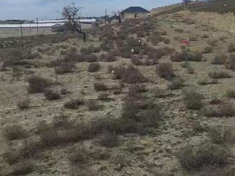 Elan №5950601 - Bakı, Masazır q., 9 sot