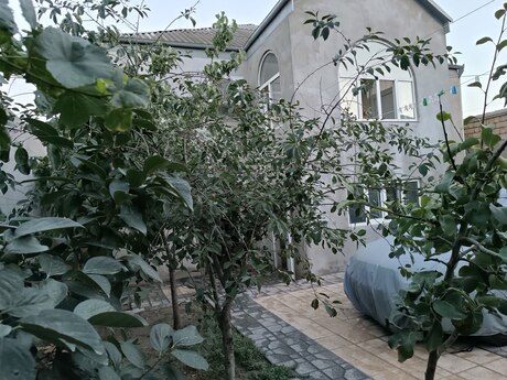 Satılır 4 otaqlı həyət evi/bağ evi 140 m², Biləcəri q.