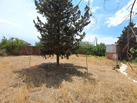7 otaqlı həyət evi/bağ evi - Albalılıq q. - 140 m²