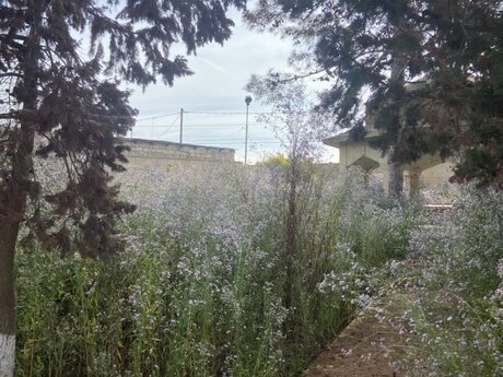 Satılır torpaq 10 sot, Mərdəkan q.