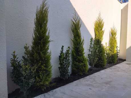 3 otaqlı həyət evi/bağ evi - Şağan q. - 85 m²