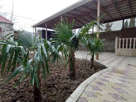 5 otaqlı həyət evi/bağ evi - Masazır q. - 200 m²