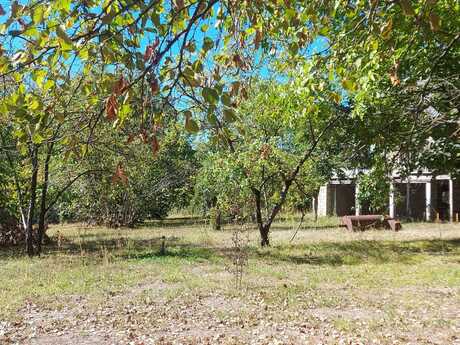 5 otaqlı həyət evi/bağ evi - Qəbələ - 130 m²