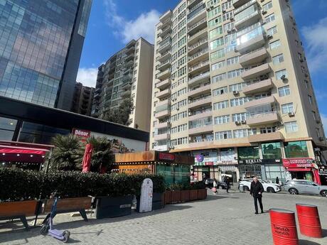 Şah İsmayıl Xətai m.