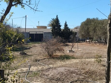 Elan №5594901 - Bakı, Bilgəh q., 5 sot