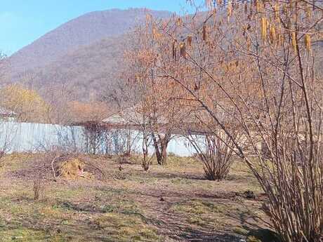 Satılır torpaq 5 sot, Qəbələ