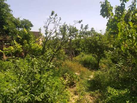 Satılır torpaq 4 sot, Saray q.