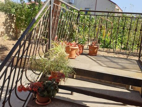 4 otaqlı həyət evi, 155 m², Novxanı: 180 000 ₼ 5
