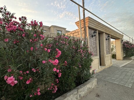 6 otaqlı həyət evi/bağ evi - Zirə q. - 210 m²