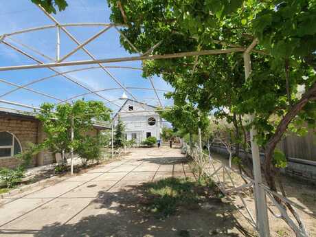 Объявление №5959328 - Баку, пос. Тюркан, 1500 м²