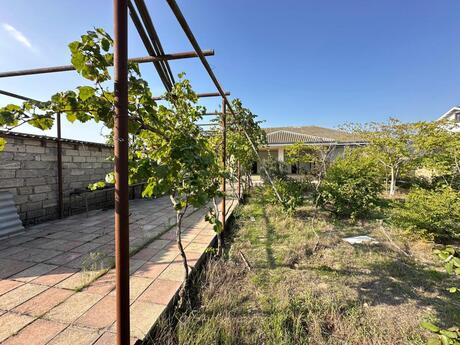 5 otaqlı həyət evi/bağ evi - Albalılıq q. - 150 m²