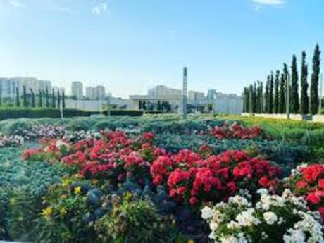 Объявление №5963026 - Баку, м. Элмляр Академиясы, 4-комн., 170 м², 3/10 этаж