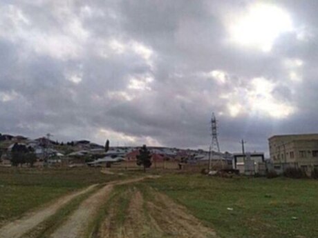Torpaq - Şamaxı - 556 sot