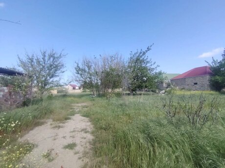 Объявление №5964120 - Баку, пос. Ази Асланова, 10.5 сот