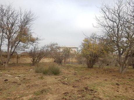 Объявление №5964190 - Баку, м. Ази Асланов, 110 сот