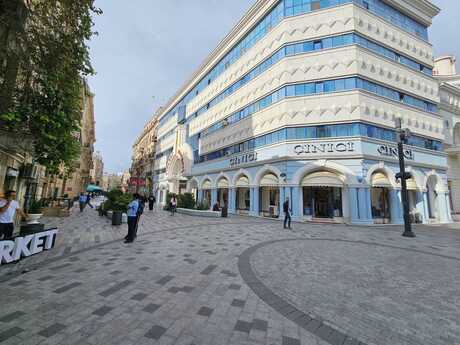 Elan №5964778 - Bakı, Sahil m., 210 m²