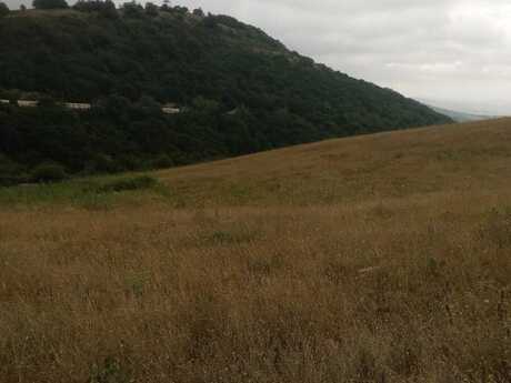 Satılır torpaq 12 sot, Şamaxı