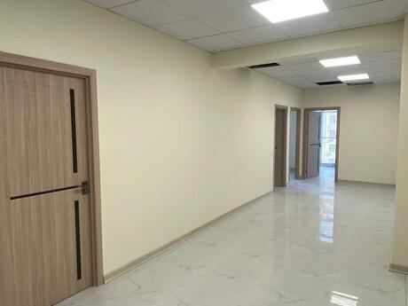 16 otaqlı ofis - 28 May m. - 530 m²