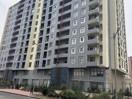 Şah İsmayıl Xətai m.