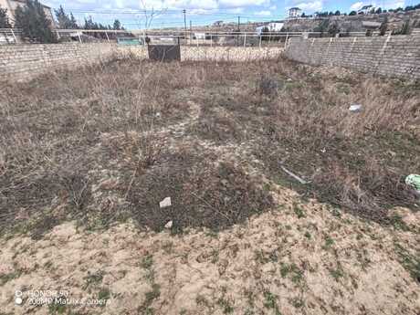 Объявление №5968269 - Баку, пос. Нардаран, 6 сот