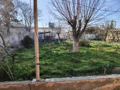 Elan №5969064 - Bakı, Qala q., 8 sot