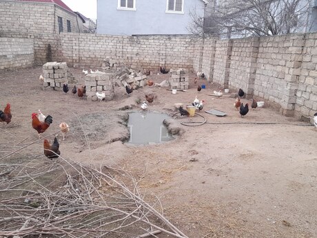 Satılır torpaq 3 sot, Yeni Ramana q.