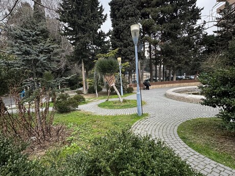 Объявление №5969414 - Баку, м. Азадлыг проспекти, 3-комн., 80 м², 5/9 этаж