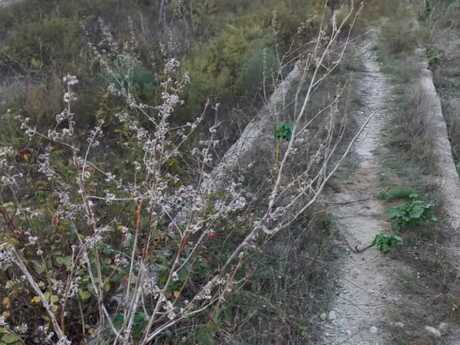 Satlr torpaq 8 sot, Dbndi q.