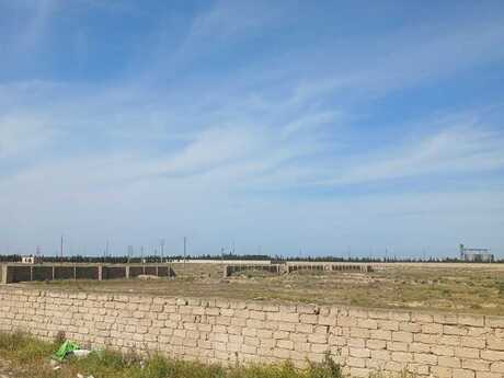 Объявление №5970672 - Баку, пос. Зире, 500 сот