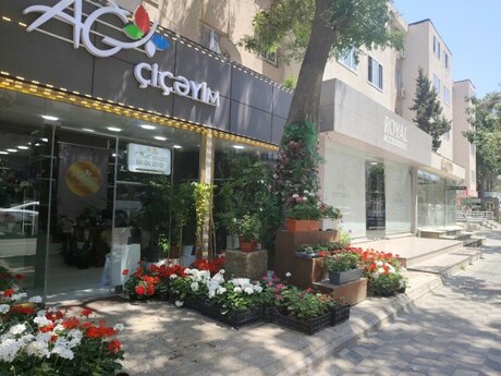 2 otaqlı köhnə tikili - Nəsimi r. - 50 m²