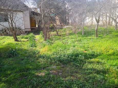 Объявление №5970936 - Баку, пос. Бадамдар, 2.5 сот