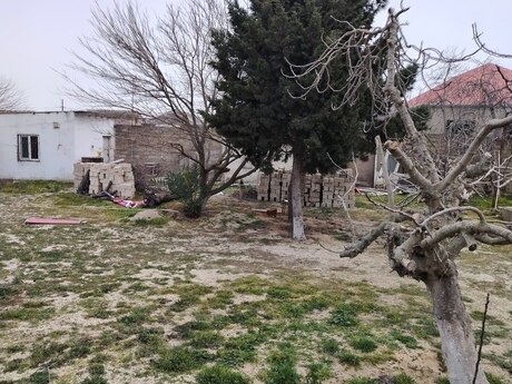 Объявление №5972300 - Баку, пос. Говсан, 3.5 сот