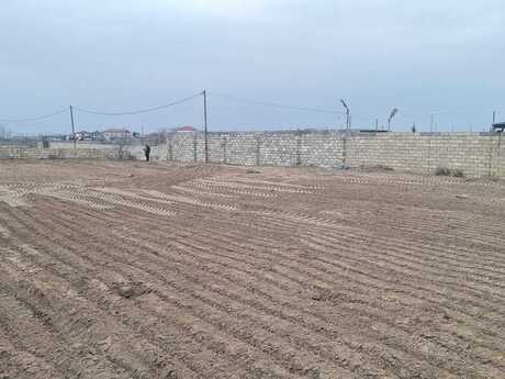 Elan №5972350 - Bakı, Nardaran q., 12 sot