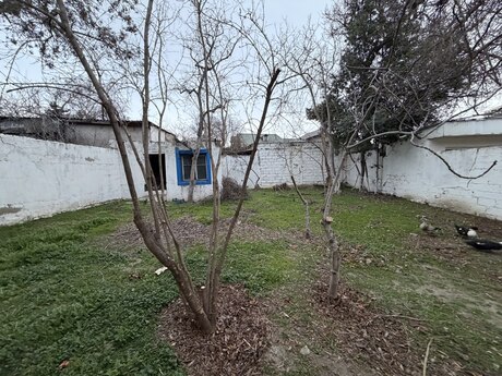 Torpaq - Bakıxanov q. - 6 sot