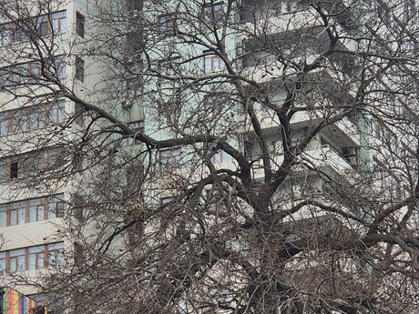 4 otaq · 220 m² · 5/16 mərtəbə, 28 May