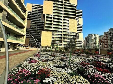 Объявление №5973113 - Баку, м. 8 ноября, 2-комн., 106 м², 20/27 этаж