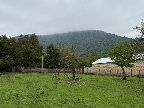 Elan №5712782 - Qəbələ, Qəbələ, 4 sot