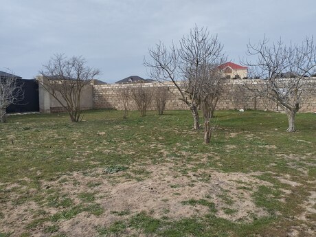 Satılır torpaq 5 sot, Albalılıq q.